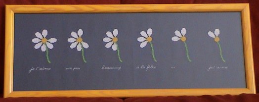 2002_EcoleBuissonniere_Marguerites